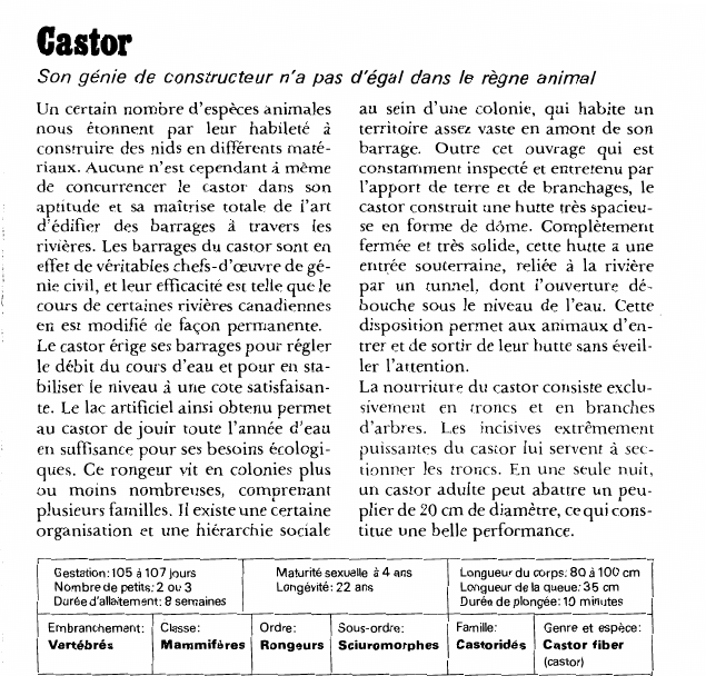 Prévisualisation du document Castor:Son génie de constructeur n'a pas d'égal dans le règne animal.