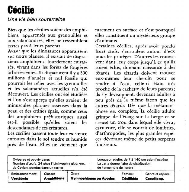 Prévisualisation du document Cécilie:Une vie bien souterraine.