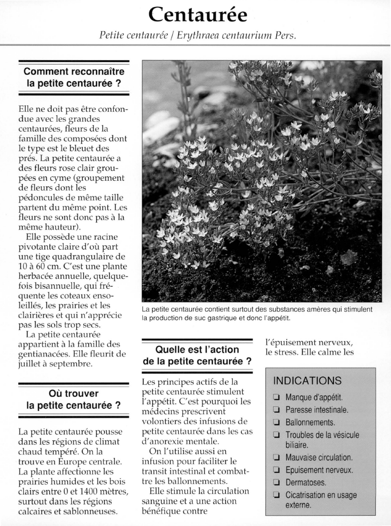 Prévisualisation du document Centaurée.