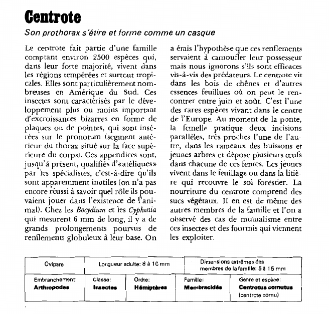 Prévisualisation du document Centrote:Son prothorax s'étire et forme comme un casque.