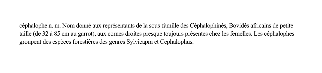 Prévisualisation du document céphalophe n.