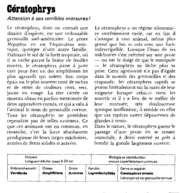Prévisualisation du document Cératophrys:Attention à ses terribles morsures!