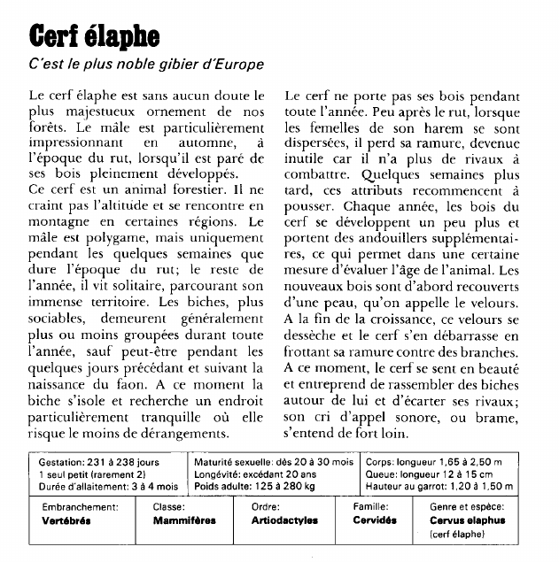 Prévisualisation du document Cerf élaphe:C'est le plus noble gibier d'Europe.