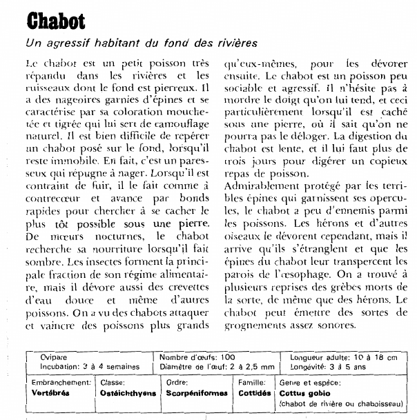Prévisualisation du document Chabot:Un agressif habitant du fond des rivières.