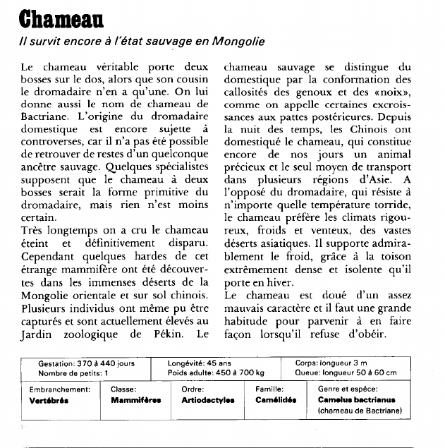 Prévisualisation du document Chameau:Il survit encore à l'état sauvage en Mongolie.