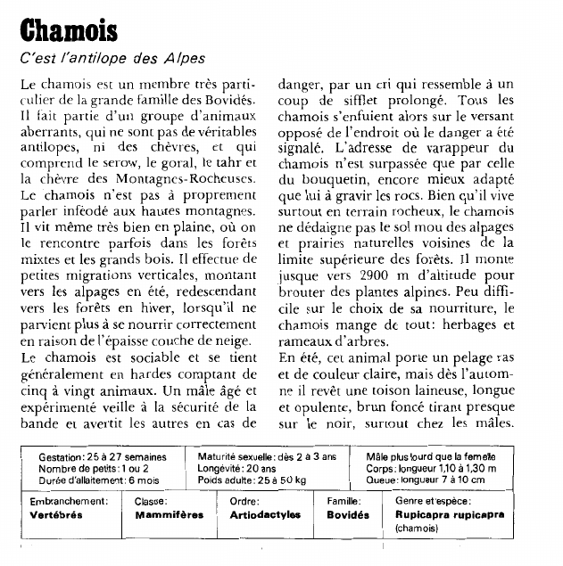 Prévisualisation du document Chamois:C'est l'antilope des Alpes.