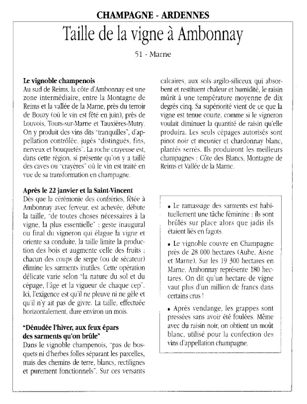 Prévisualisation du document CHAMPAGNE - ARDENNESTaille de la vigne à Ambonnay.