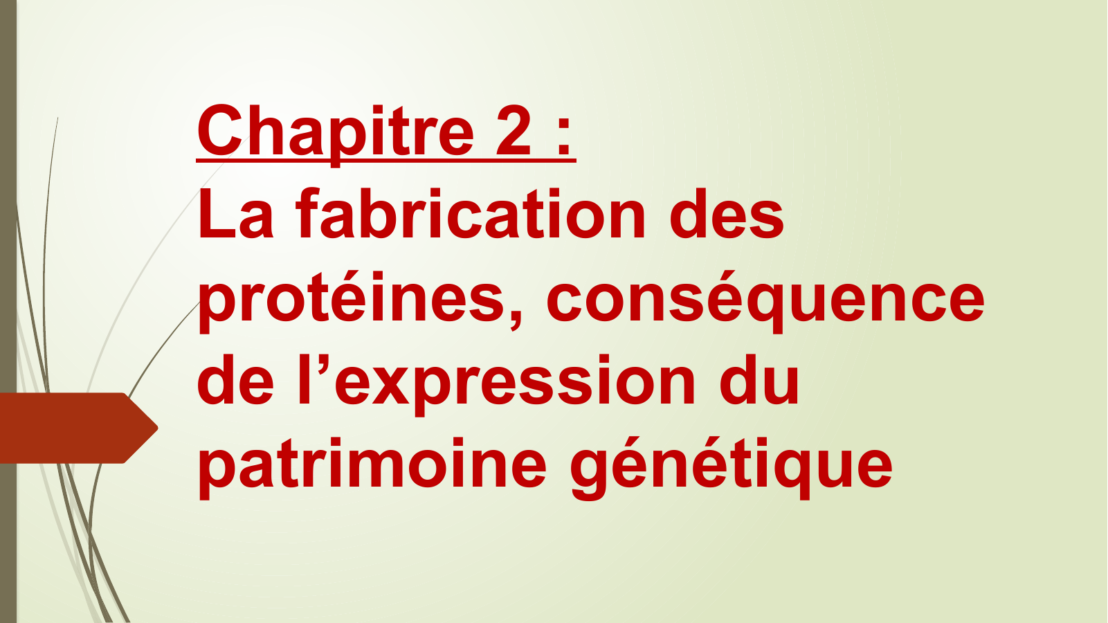 Prévisualisation du document Chapitre 2 : La fabrication des protéines, conséquence de l’expression du patrimoine génétique