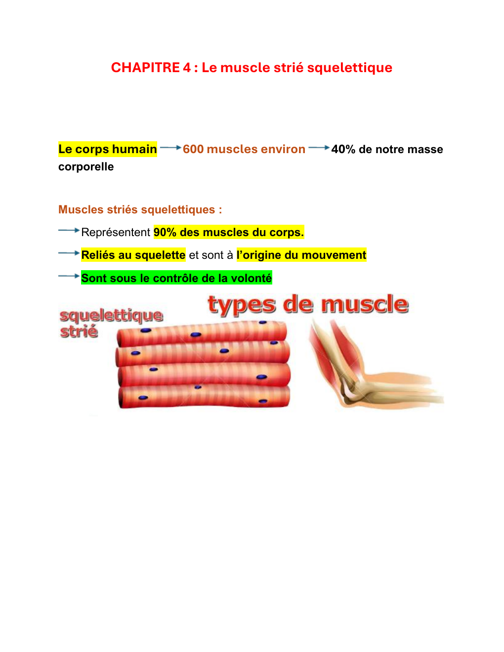 Prévisualisation du document CHAPITRE 4 : Le muscle strié squelettique  Le corps humain