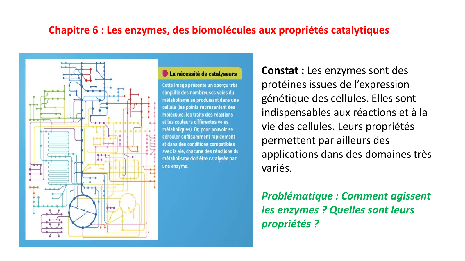 Prévisualisation du document Chapitre 6 : Les enzymes, des biomolécules aux propriétés catalytiques