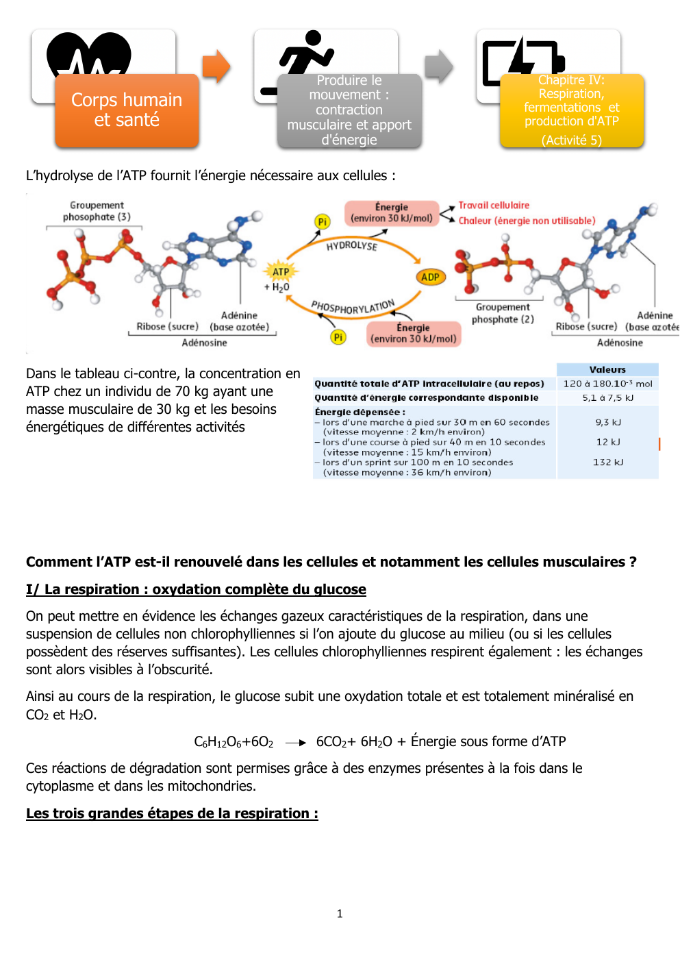 Prévisualisation du document Chapitre IV:  Respiration,  fermentations et  production d'ATP