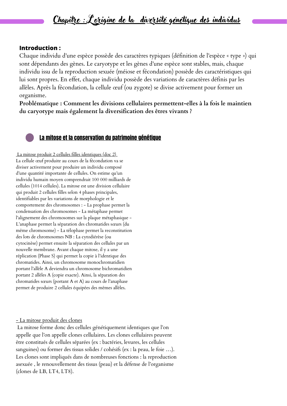 Prévisualisation du document Chapitre : L'origine de la diversité génétique des individus