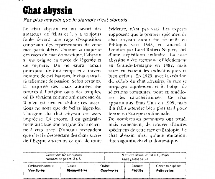 Prévisualisation du document Chat abyssin:Pas plus abyssin que le siamois n'est siamois.