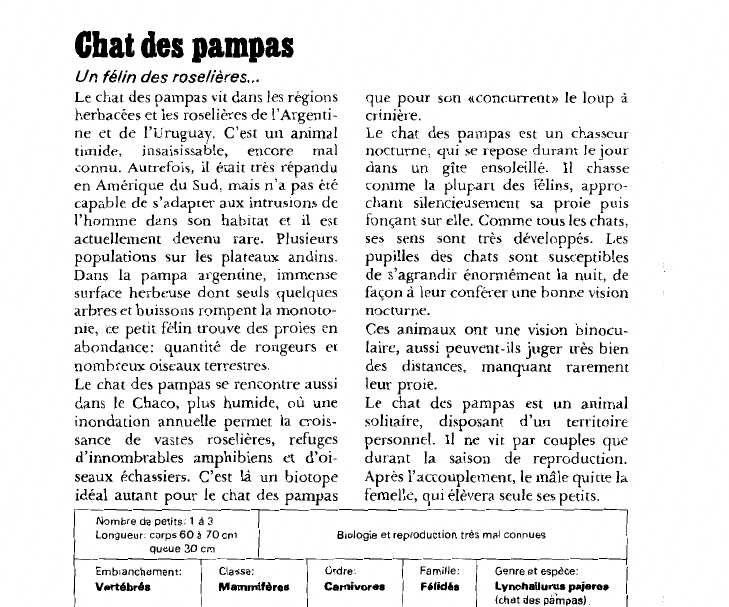 Prévisualisation du document Chat des pampas:Un félin des roselières.