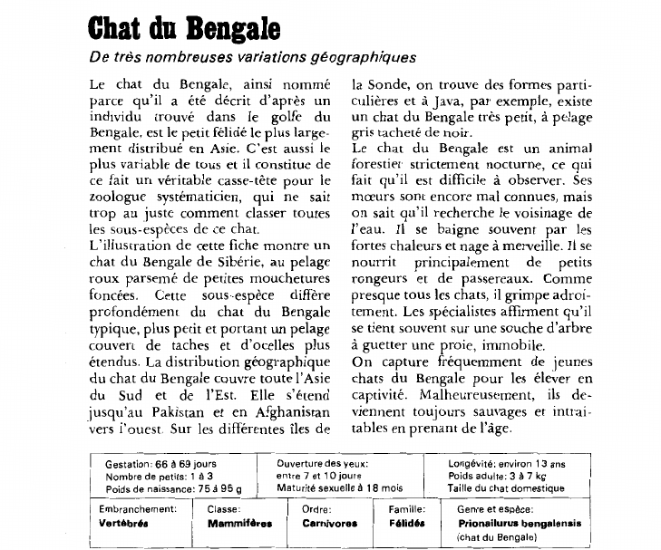 Prévisualisation du document Chat du Bengale:De très nombreuses variations géographiques.