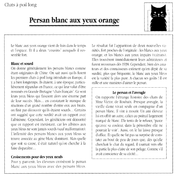 Prévisualisation du document Chats à poil long:	Persan blanc aux yeux orange.