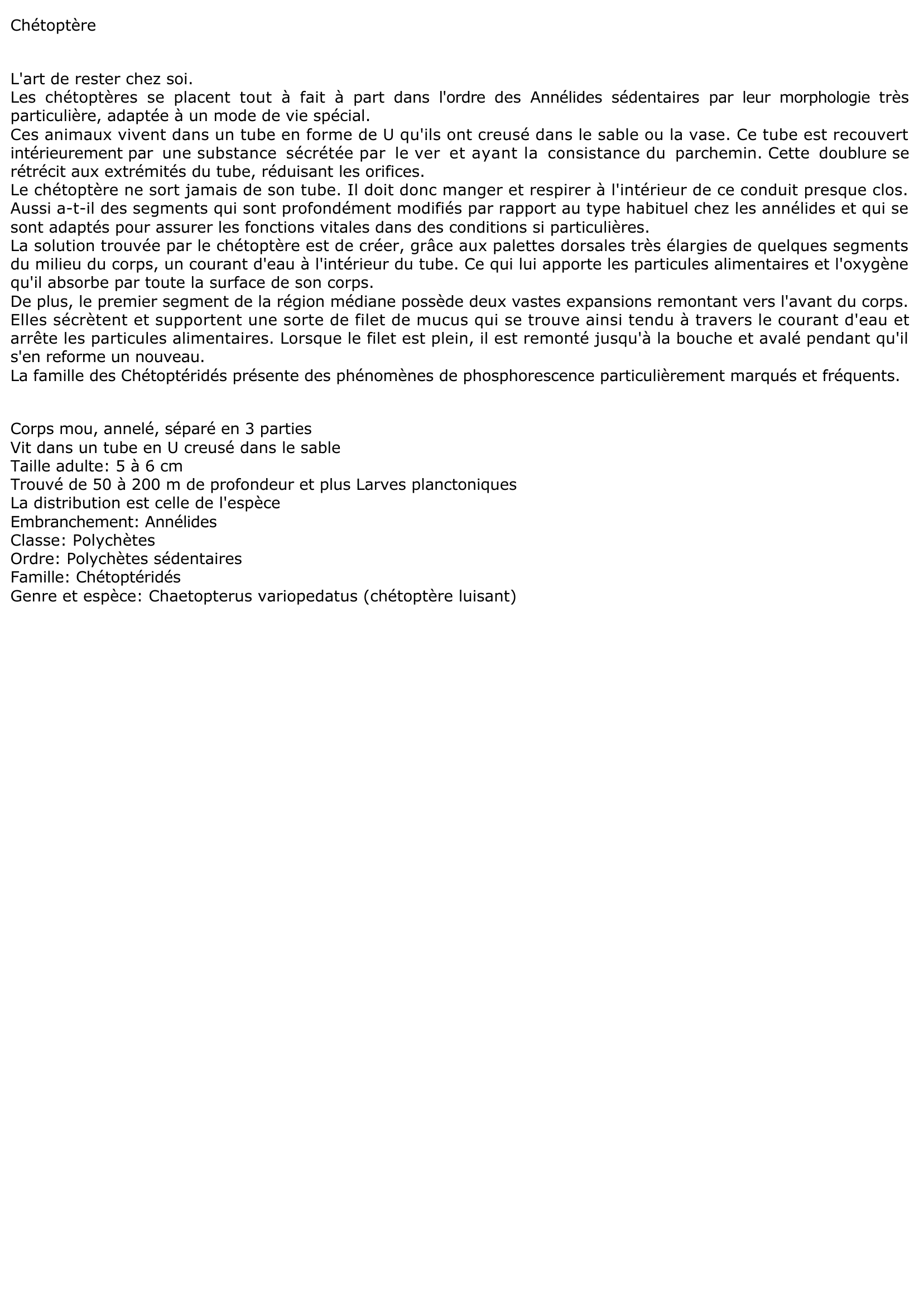 Prévisualisation du document Chétoptère