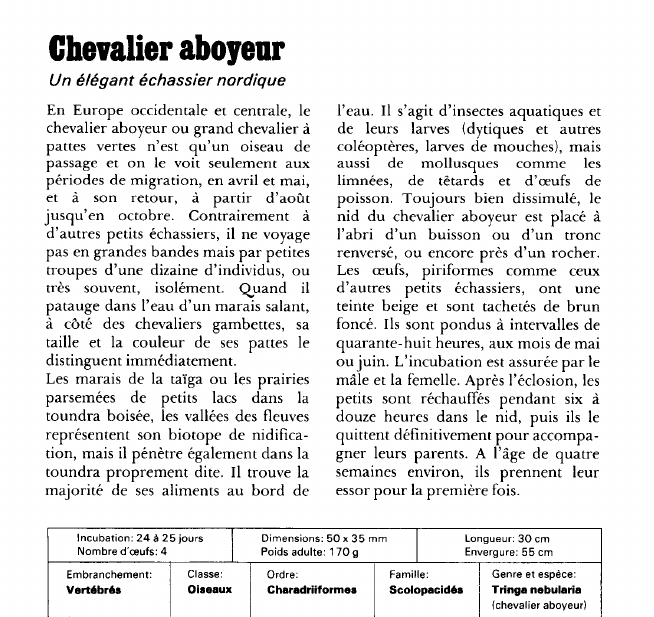 Prévisualisation du document Chevalier aboyeur:Un élégant échassier nordique.