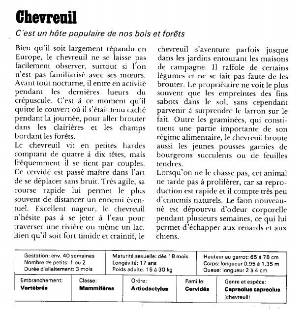 Prévisualisation du document Chevreuil:C'est un hôte populaire de nos bois et forêts.
