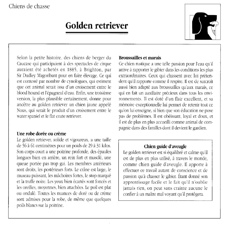 Prévisualisation du document Chiens de chasseGolden retriever.