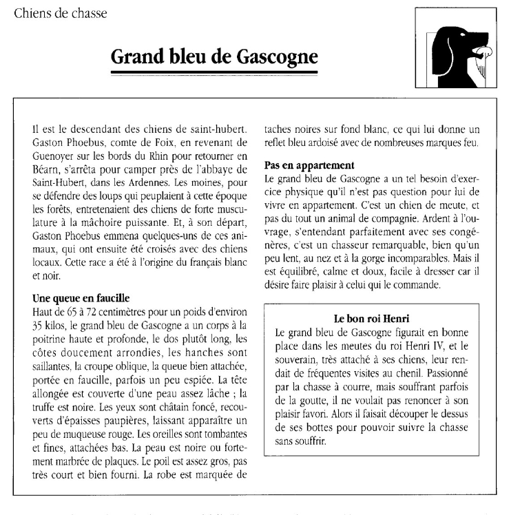 Prévisualisation du document Chiens de chasseGrand bleu de Gascogne.