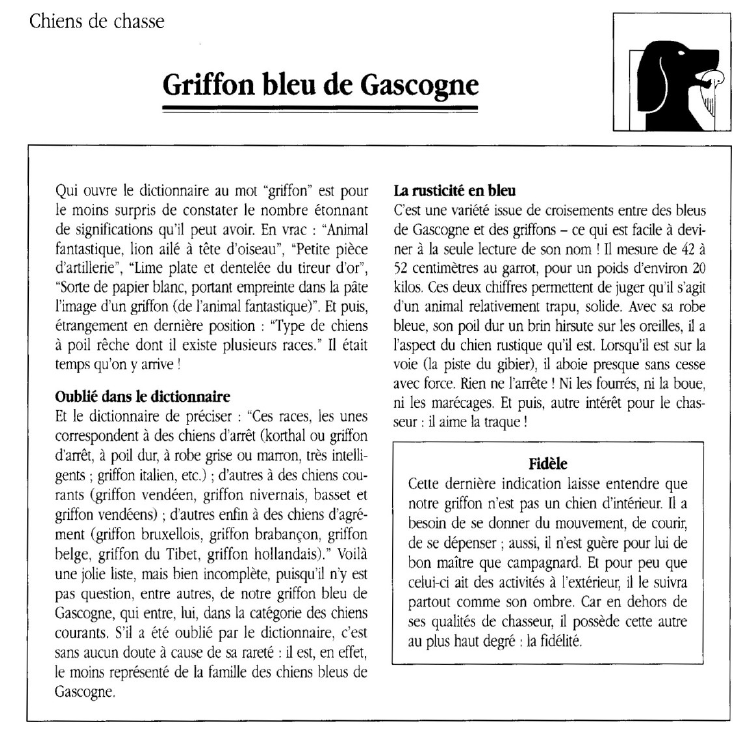 Prévisualisation du document Chiens de chasse	Griffon bleu de Gascogne.