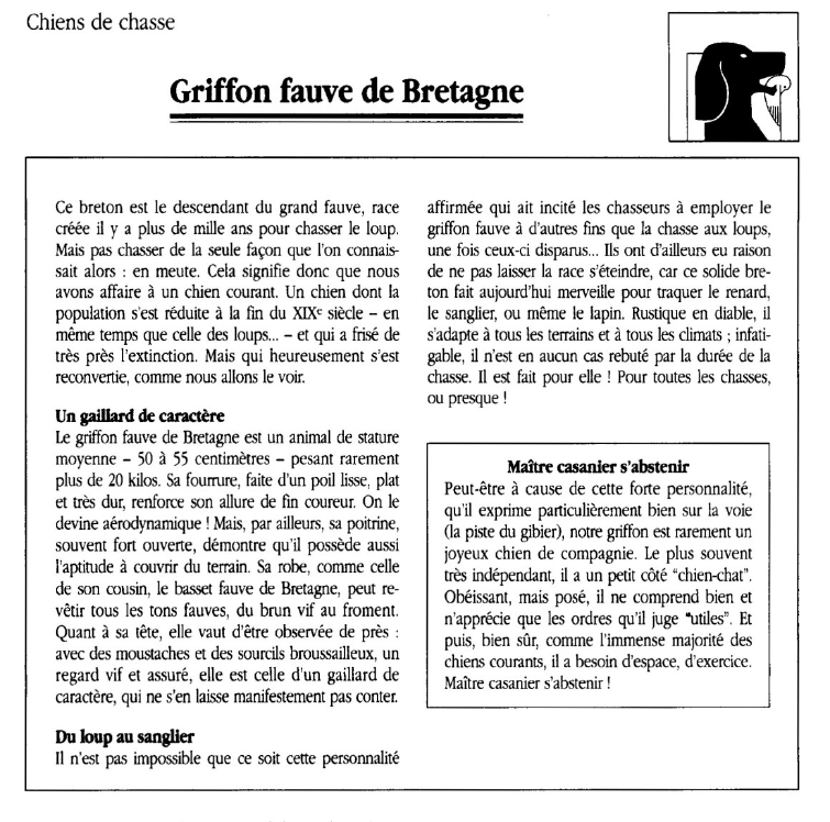 Prévisualisation du document Chiens de chasse	Griffon fauve de Bretagne.