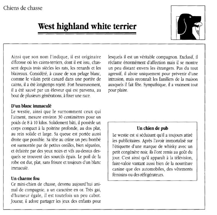 Prévisualisation du document Chiens de chasse:	West highland white terrier.