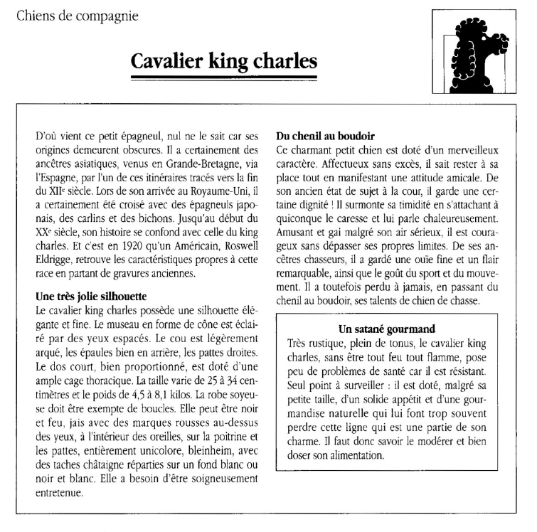 Prévisualisation du document Chiens de compagnie	:Cavalier king charles.