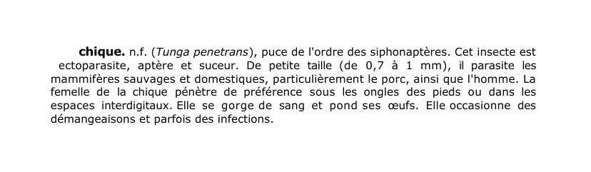 Prévisualisation du document chique.