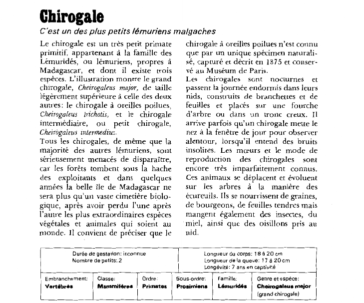 Prévisualisation du document Chirogale:C'est un des plus petits lémuriens malgaches.