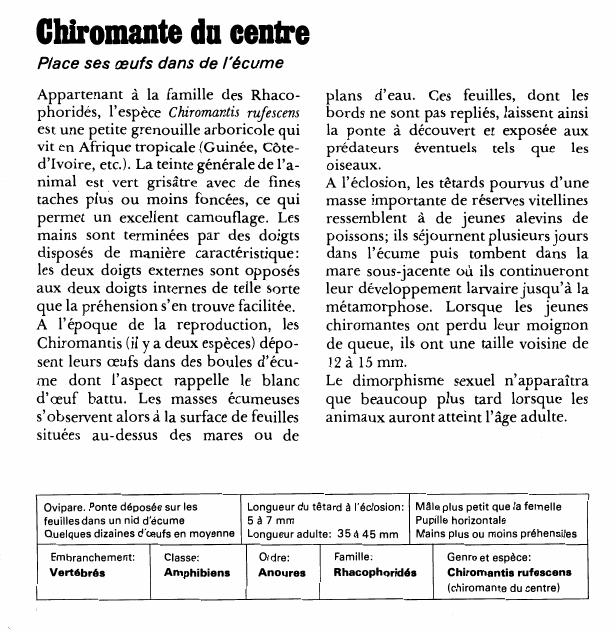 Prévisualisation du document Chiromante du centre:Place ses œufs dans de l'écume.
