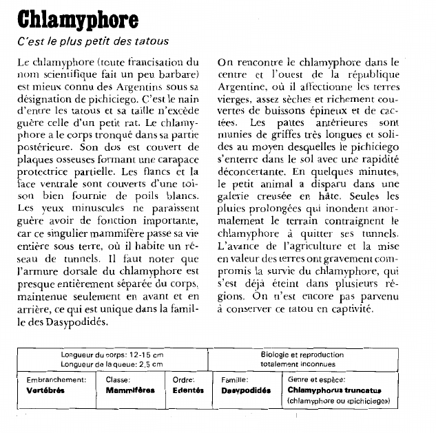 Prévisualisation du document Chlamyphore:C'est le plus petit des tatous.