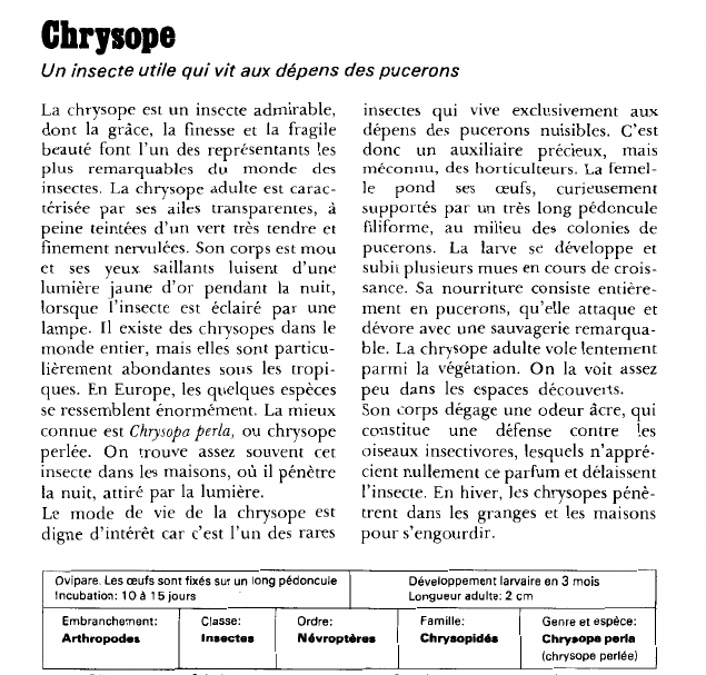 Prévisualisation du document Chrysope:Un insecte utile qui vit aux dépens des pucerons.