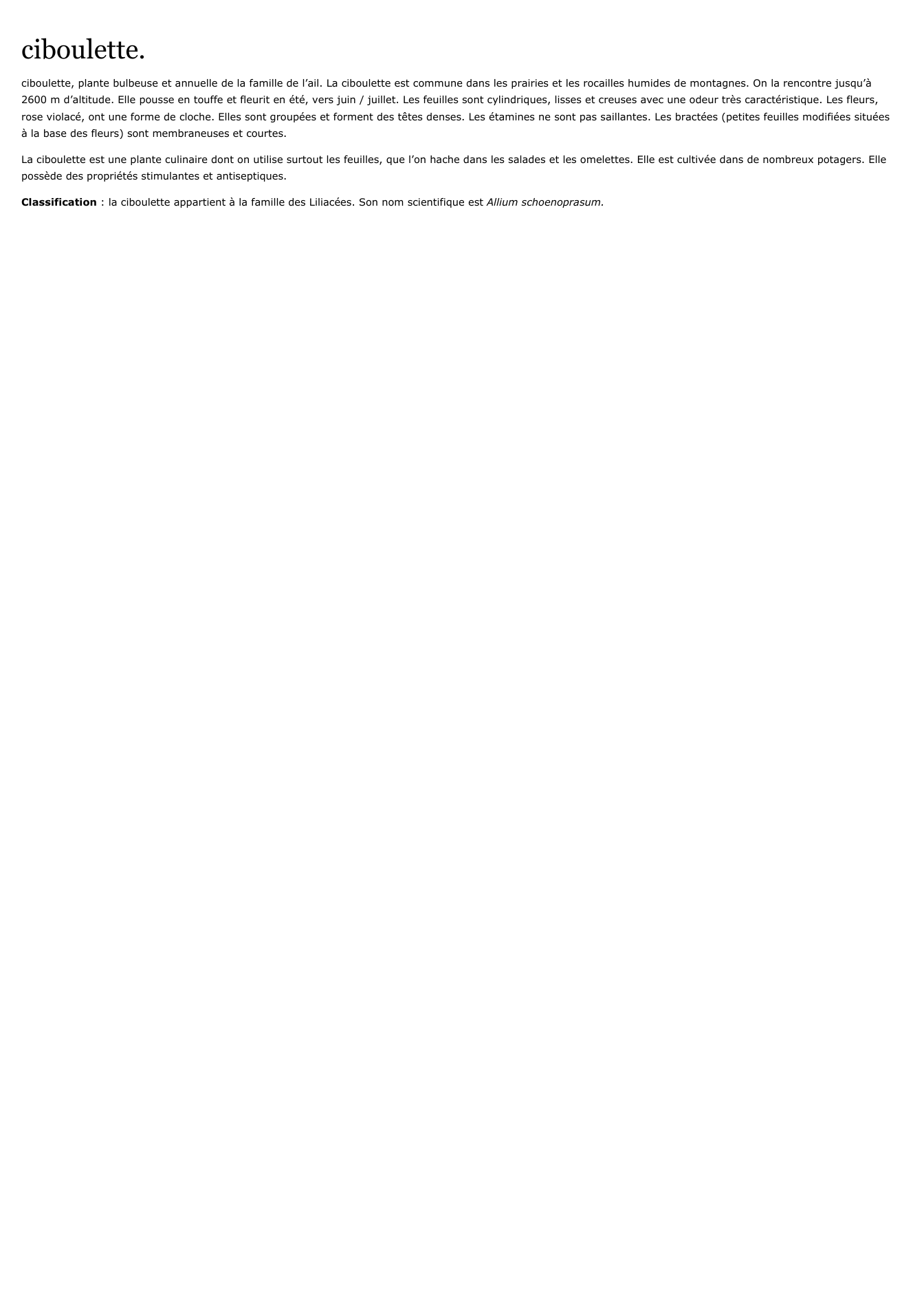 Prévisualisation du document CIBOULETTE