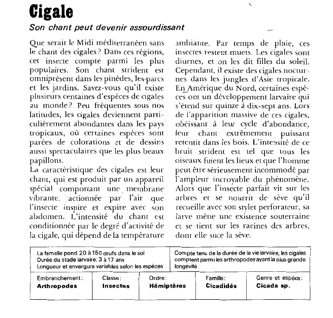 Prévisualisation du document Cigale:Son chant peut devenir assourdissant.
