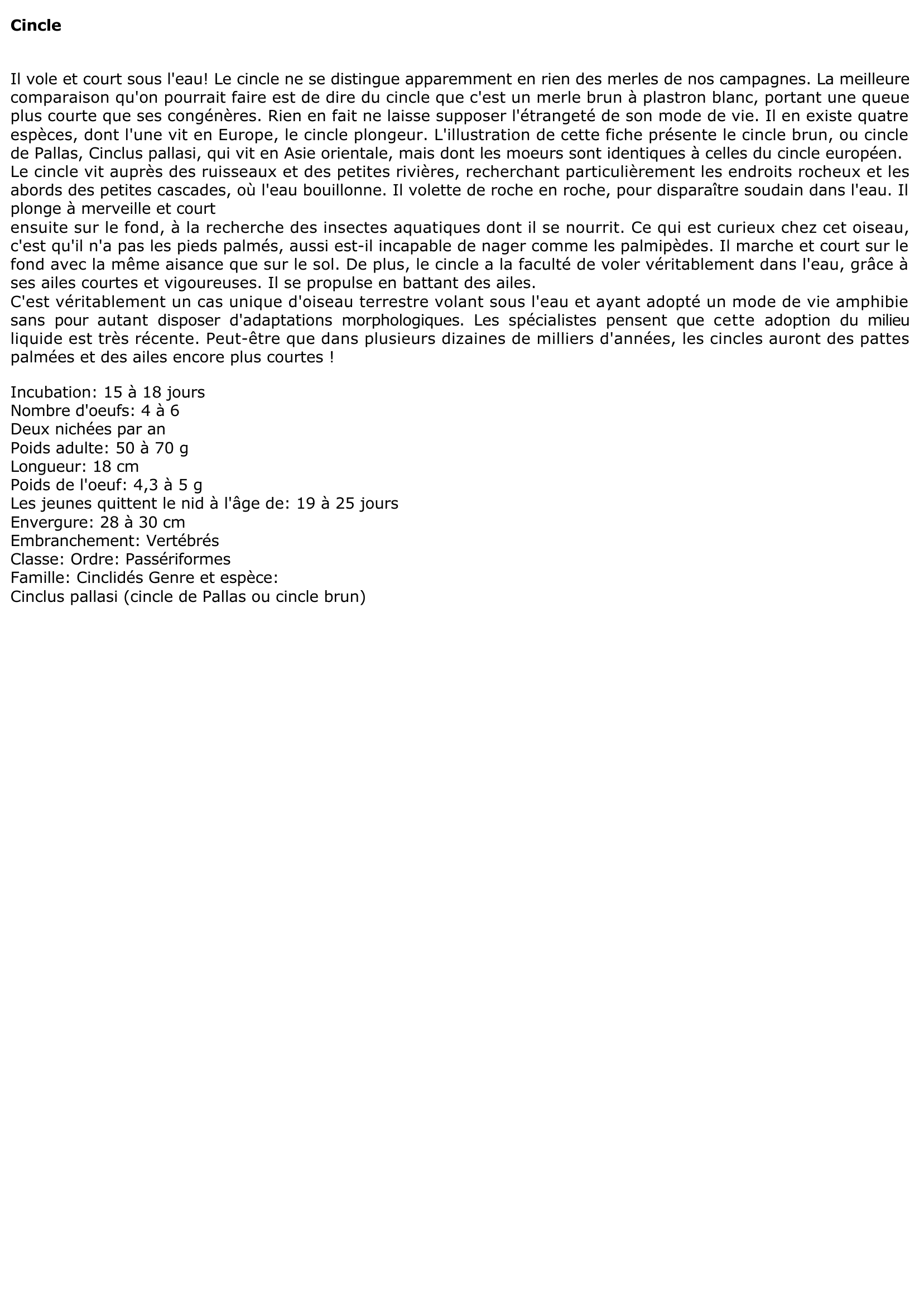 Prévisualisation du document Cincle