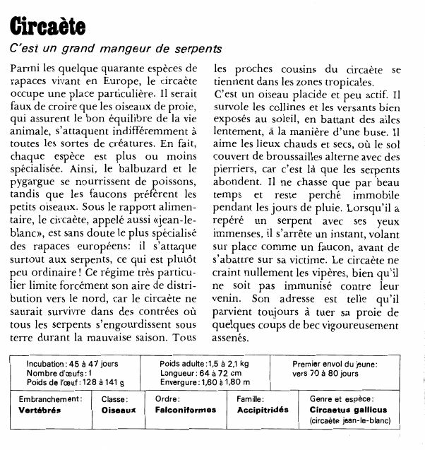Prévisualisation du document CircaèteC'est un grand mangeur de serpentsParmi les quelque quarante espèces de rapaces vivant en Europe, le circaète occupe une place particulière.