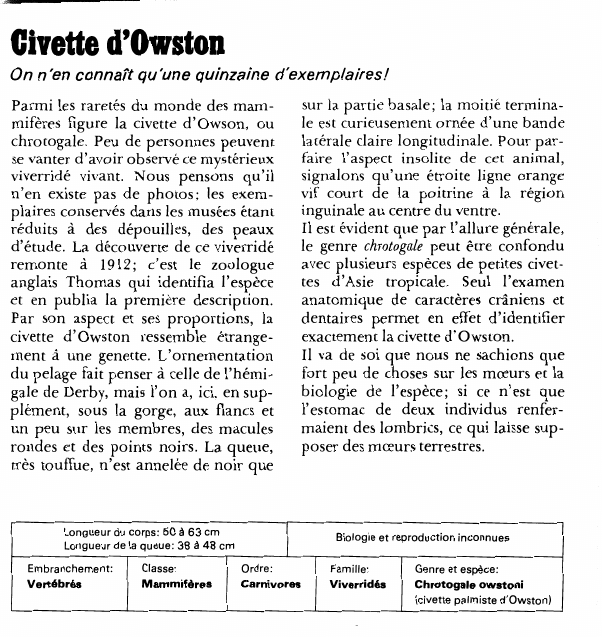 Prévisualisation du document Civette d'OwstonOn n'en connaît qu'une quinzaine d'exemplaires!