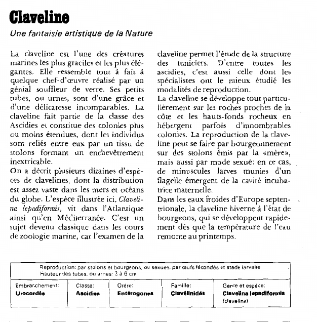 Prévisualisation du document Claveline:Une fantaisie artistique de la Nature.