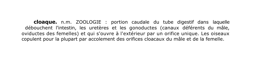 Prévisualisation du document cloaque.