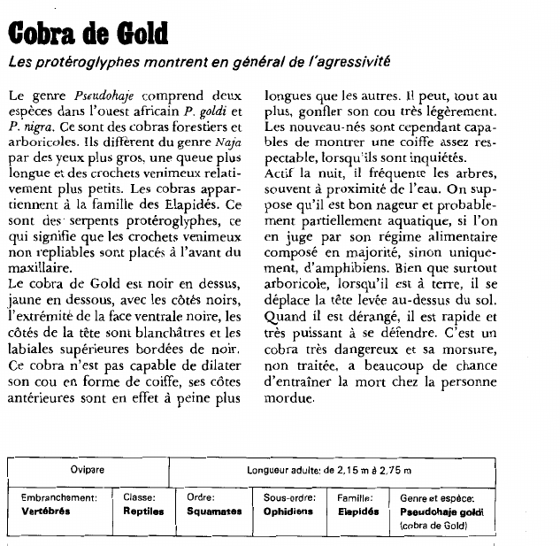 Prévisualisation du document Cobra de GoldLes protéroglyphes montrent en général de l'agressivité.