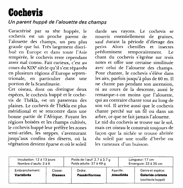 Prévisualisation du document Cochevis:Un parent huppé de l'alouette des champs.