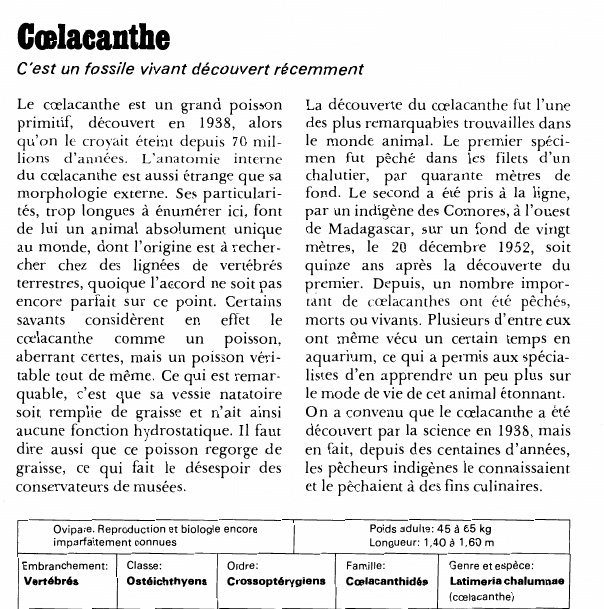 Prévisualisation du document Coelacanthe:C'est un fossile vivant découvert récemment.