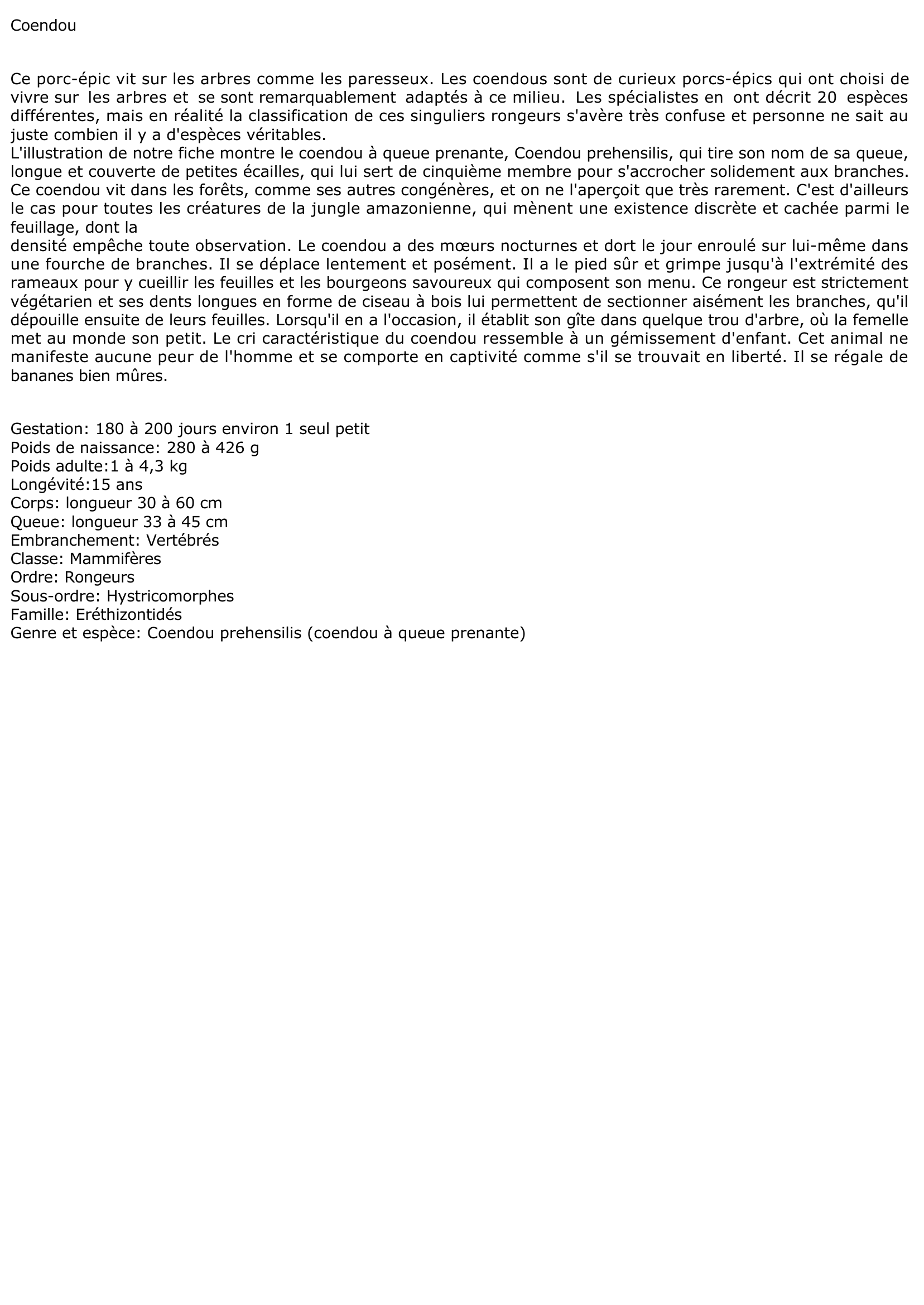 Prévisualisation du document Coendou