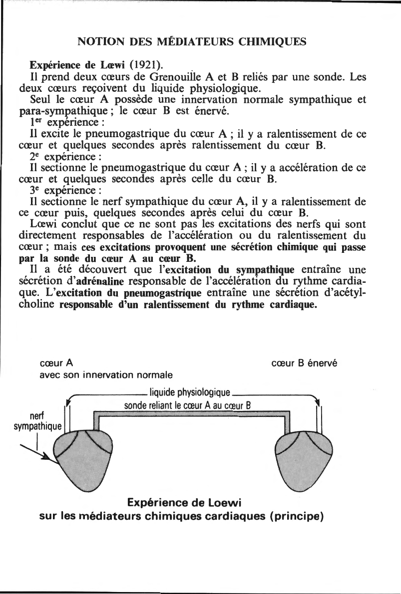 Prévisualisation du document Coeur et système nerveux
