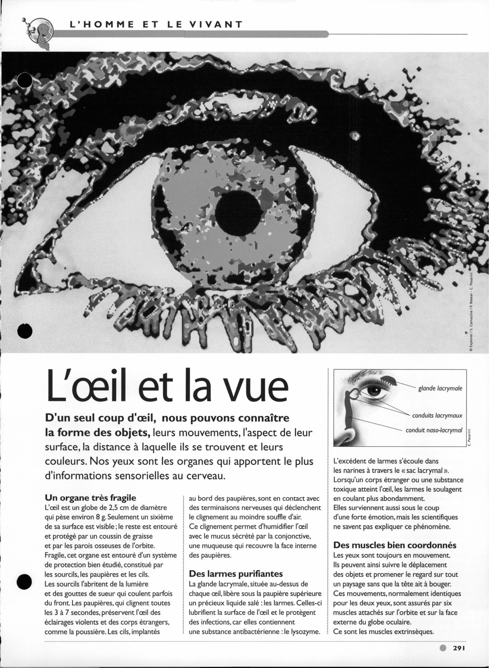 Prévisualisation du document Collège: Les récepteurs sensoriels de l'oeil (SVT)