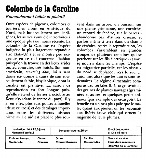 Prévisualisation du document Colombe de la Caroline:Roucoulement faible et plaintif.