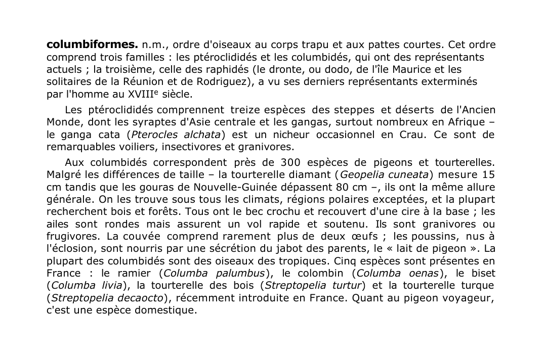 Prévisualisation du document columbiformes.