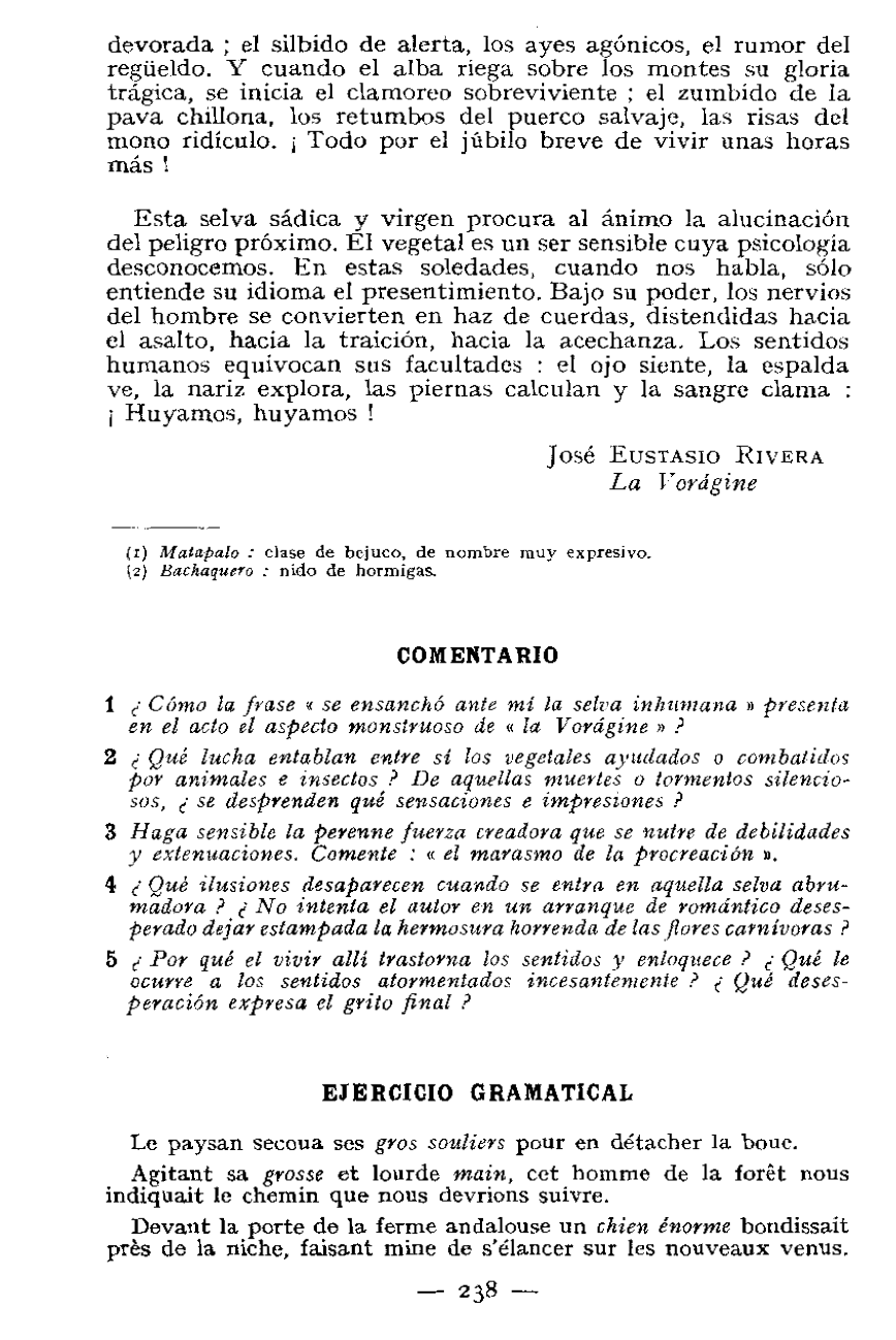 Prévisualisation du document CÔMO ES LA SELVA